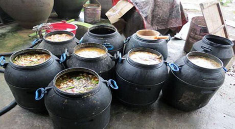 餐餘糖心VOLG下载